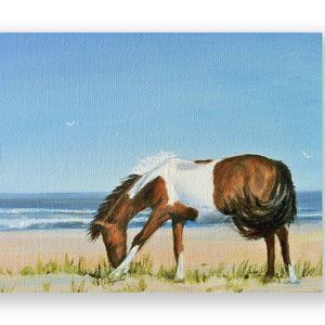 Meet your Posher, Ellen